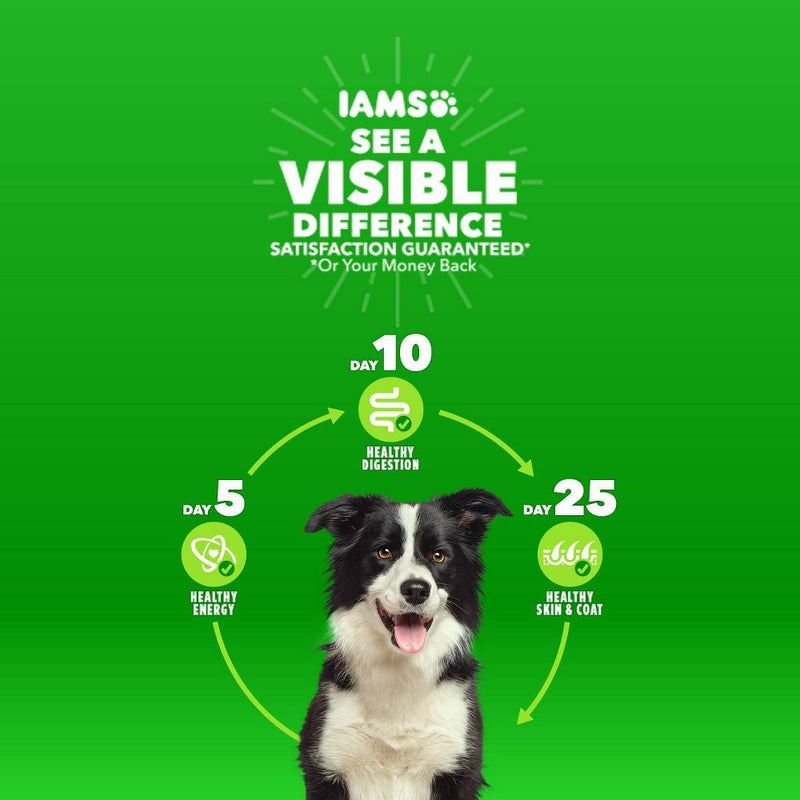 IAMS Proactive Health Lamb & Rice Recipe Large Breed Adult Dry Dog Food - 15lbs (LOCAL PICKUP ONLY)