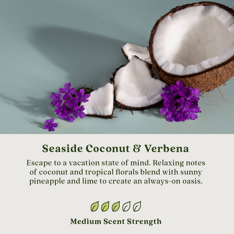 Enviroscent Auto Stix 2pk Seaside Coconut and Verbena