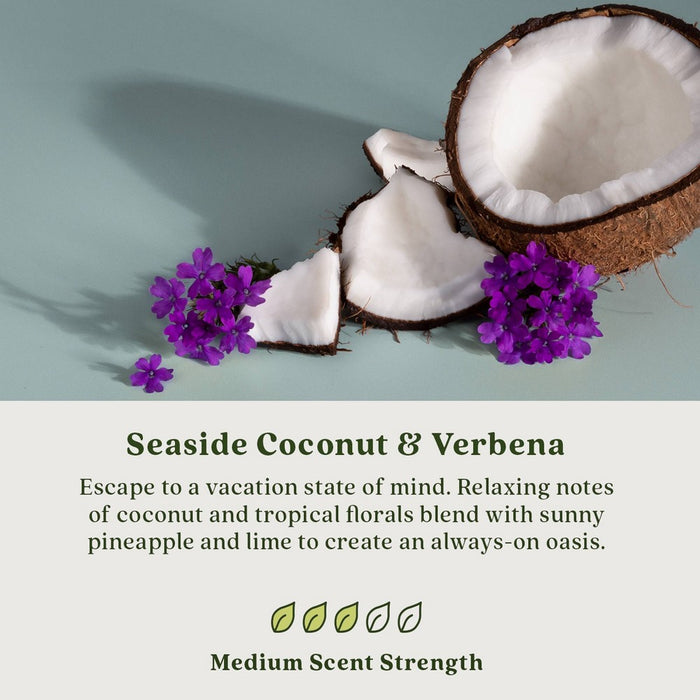 Enviroscent Auto Stix 2pk Seaside Coconut and Verbena