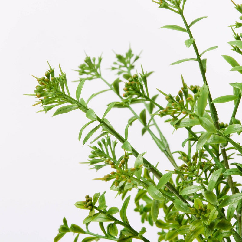 Artificial Sedum Plant in Pot - Threshold designed with Studio McGee: Indoor Decorative Ceramic Pot