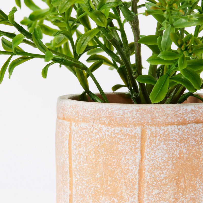 Artificial Sedum Plant in Pot - Threshold designed with Studio McGee: Indoor Decorative Ceramic Pot