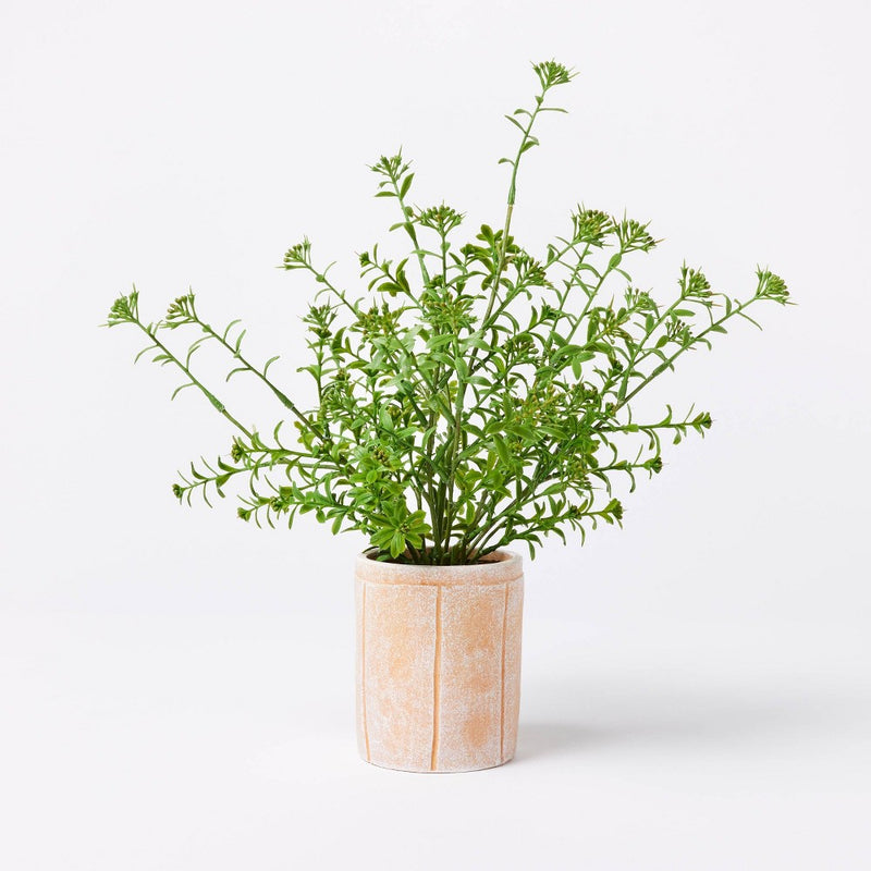 Artificial Sedum Plant in Pot - Threshold designed with Studio McGee: Indoor Decorative Ceramic Pot