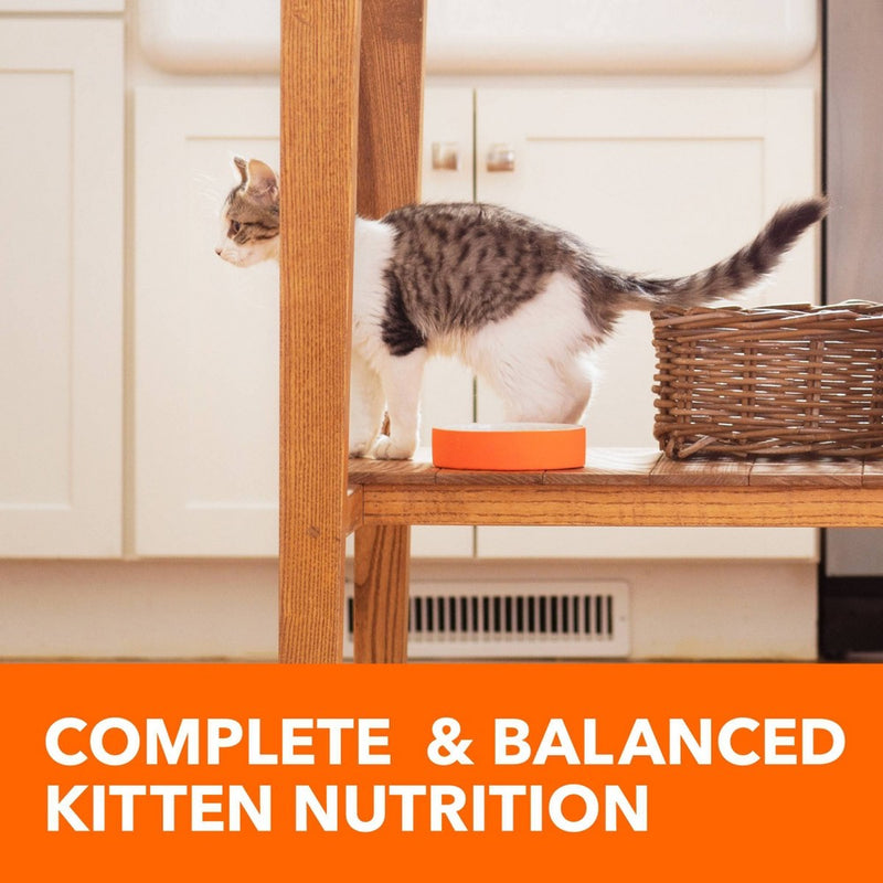 IAMS Proactive Health with Chicken Kitten Premium Dry Cat Food - 7lbs
