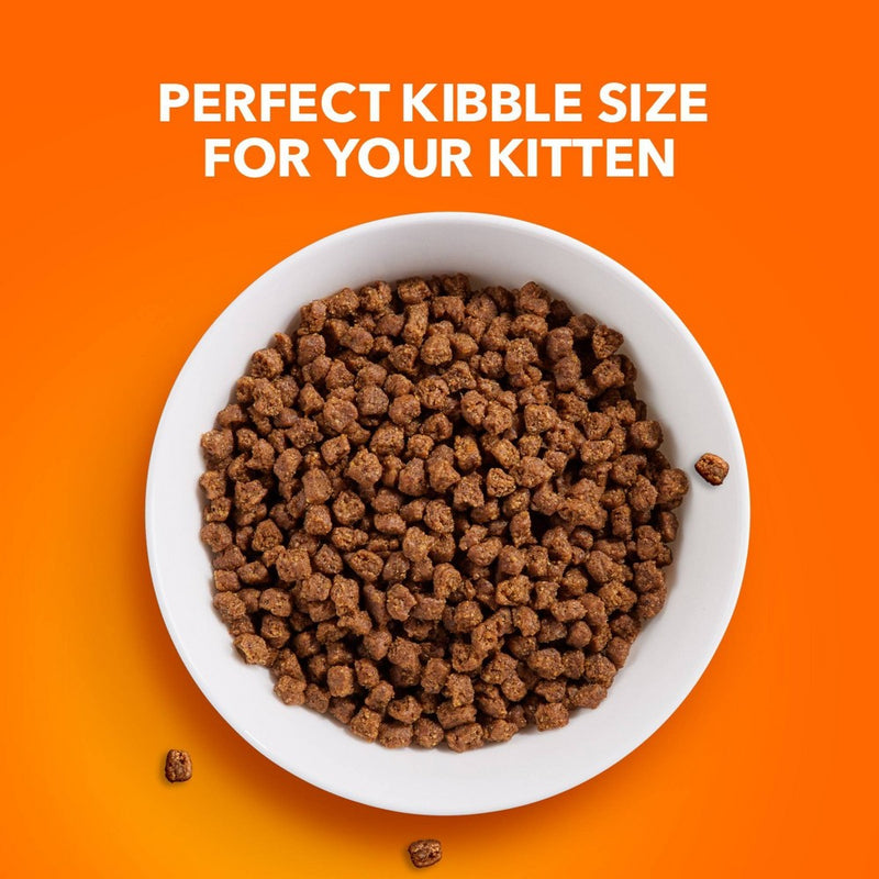 IAMS Proactive Health with Chicken Kitten Premium Dry Cat Food - 7lbs