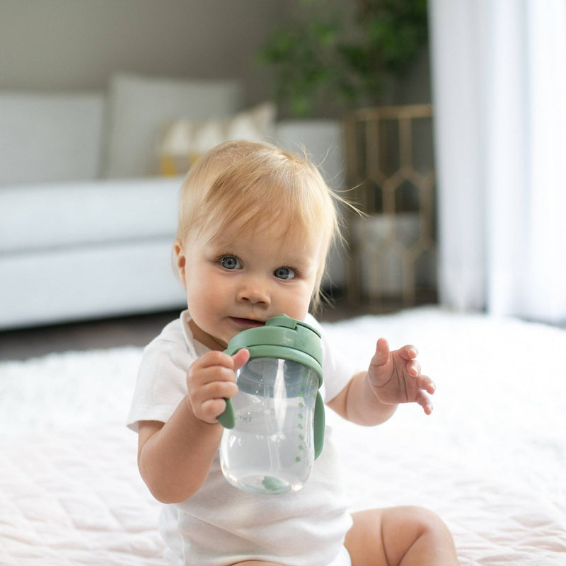 Dr. Brown's 8 fl oz Baby First Straw Cup - Sage