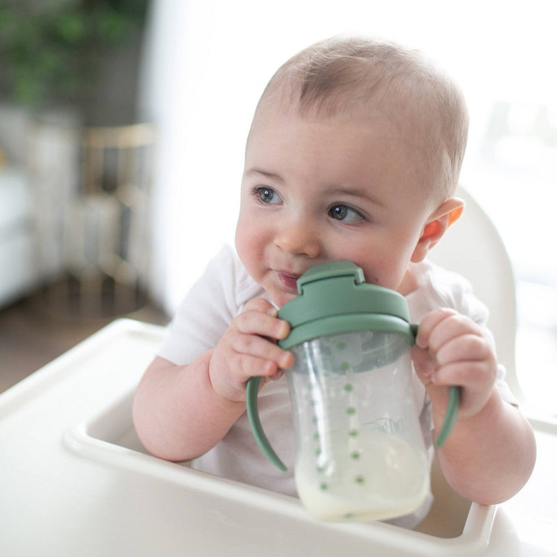Dr. Brown's 8 fl oz Baby First Straw Cup - Sage