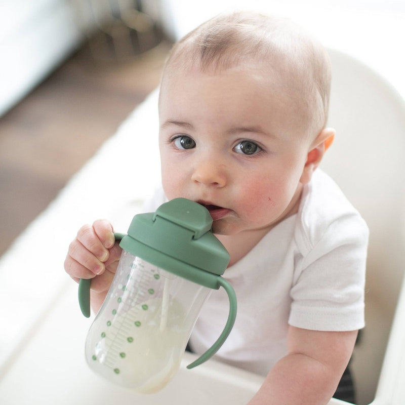 Dr. Brown's 8 fl oz Baby First Straw Cup - Sage