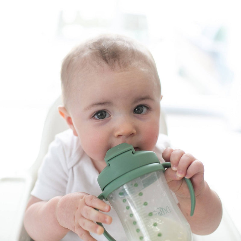 Dr. Brown's 8 fl oz Baby First Straw Cup - Sage