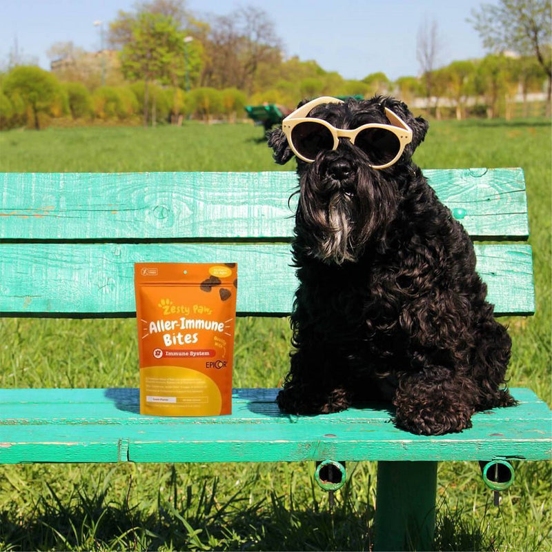 Zesty Paws Allergy and Immune Bites for Dog Lamb Flavor - 60ct