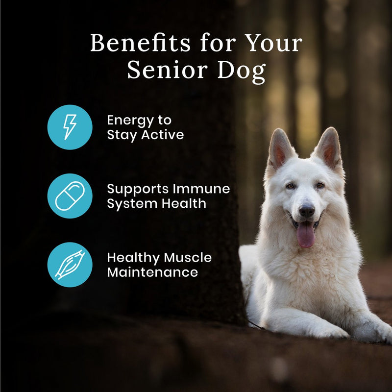 Blue Buffalo Wilderness High Protein Natural Senior Dry Dog Food with Chicken - 24lbs (LOCAL PICKUP ONLY)