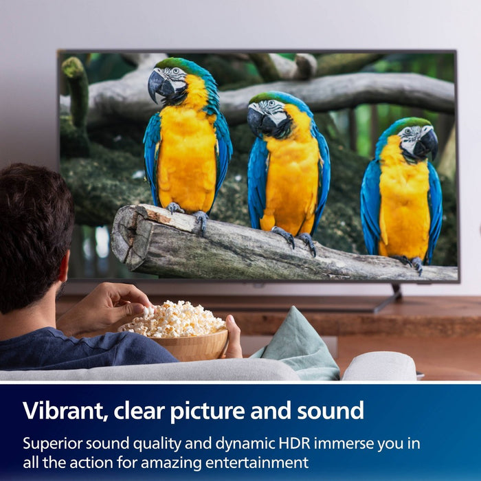 Philips 8K USB-C to Display Port Adapter