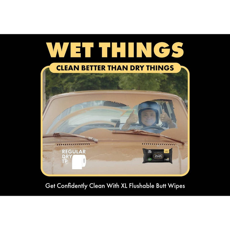 Dude Wipes Shea Butter Flushable Wipes - 3pk/48ct