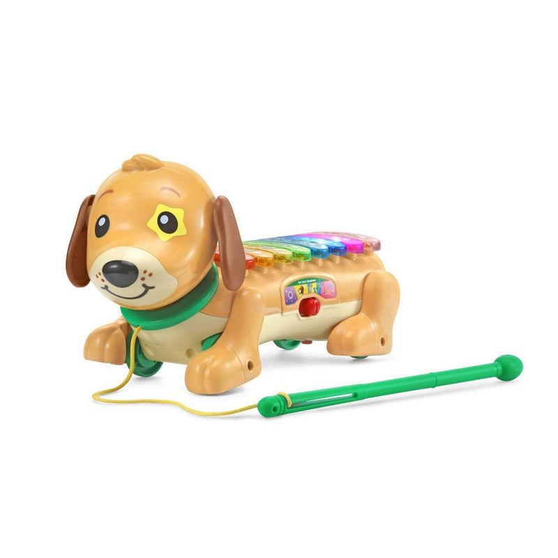 VTech Zoo Jamz Doggy Xylophone