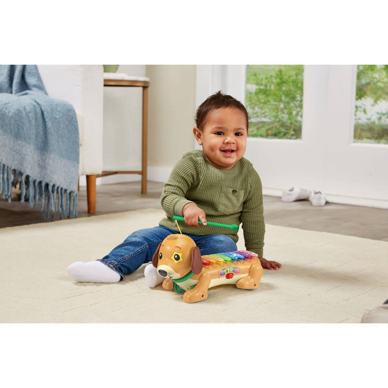 VTech Zoo Jamz Doggy Xylophone