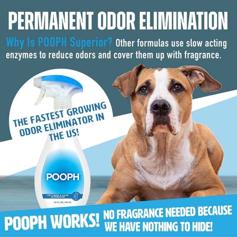 Pooph Dog Odor & Stain Eliminator - 20 fl oz