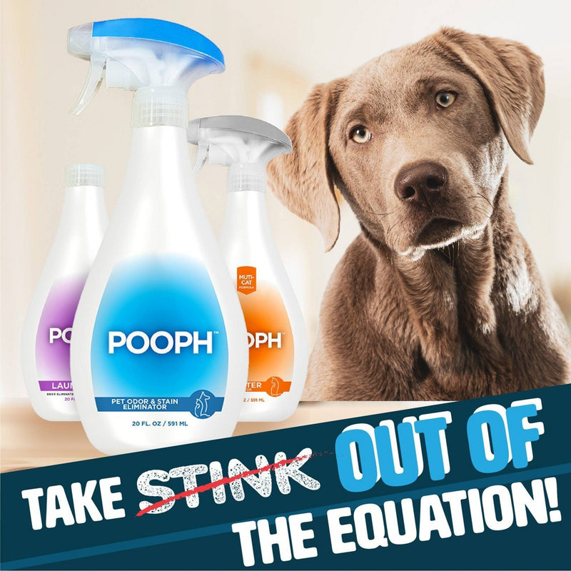 Pooph Dog Odor & Stain Eliminator - 20 fl oz