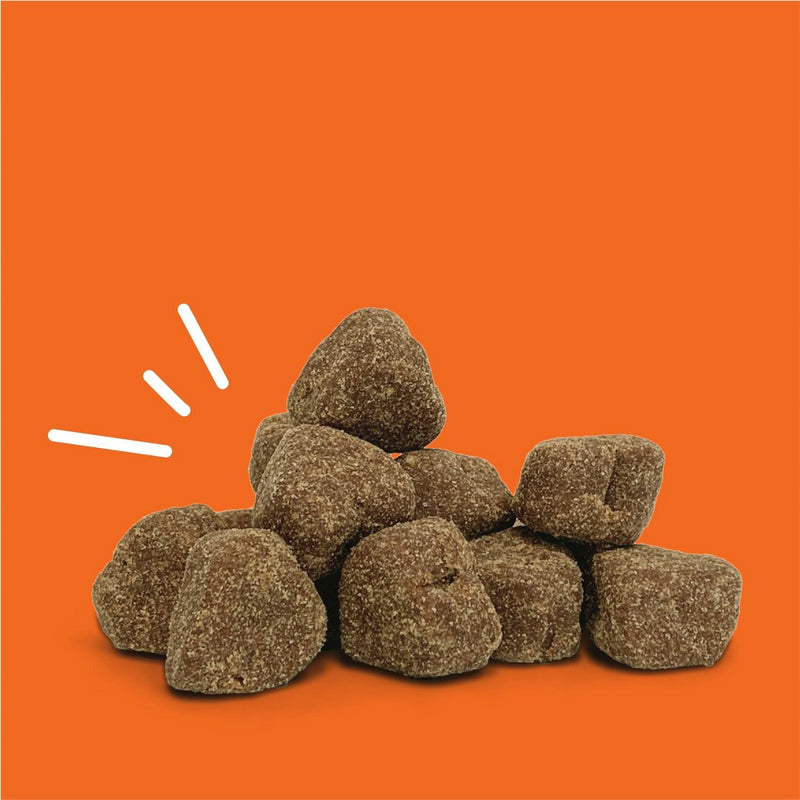 Zesty Paws Skin & Coat Bites for Dog Chicken Flavor - 60ct