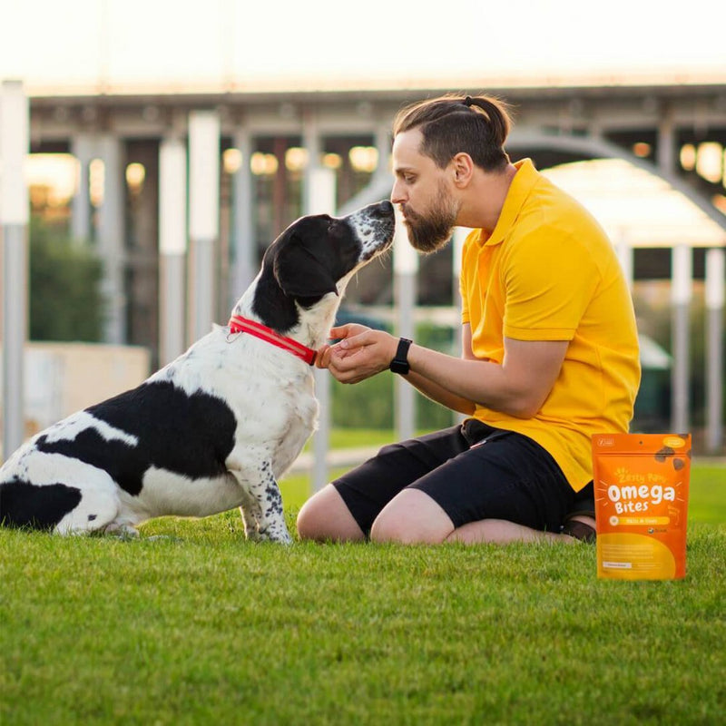 Zesty Paws Skin & Coat Bites for Dog Chicken Flavor - 60ct