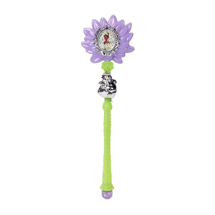 Disney Princess Tiana Accessory Set