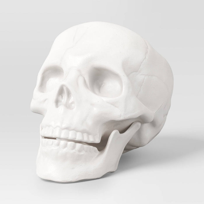 6" Skull Halloween Decorative Prop White - Hyde & EEK! Boutique