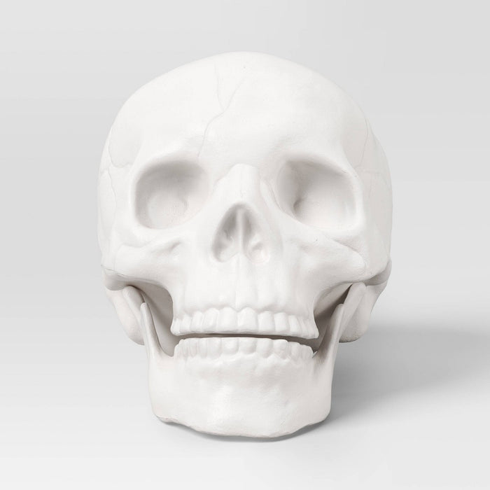 6" Skull Halloween Decorative Prop White - Hyde & EEK! Boutique