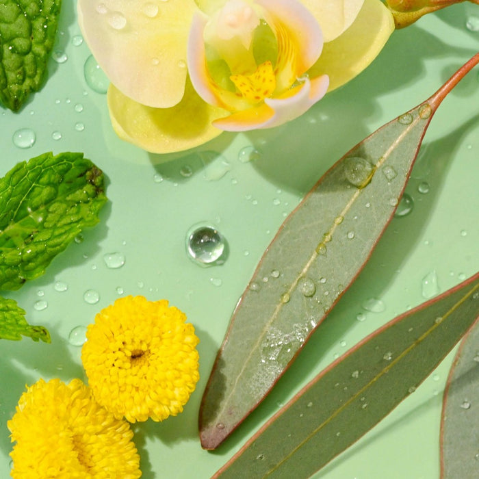 eos Natural Shea Mint Lip Balm Stick Variety Pack - 4pk