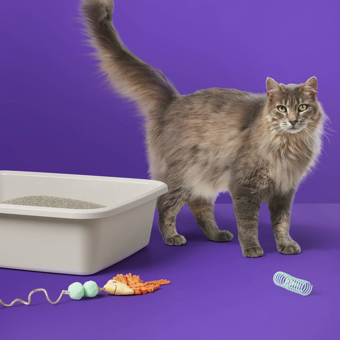 Scented Clumping Cat Litter Bag - 20lbs - up&up (LOCAL PICKUP ONLY)