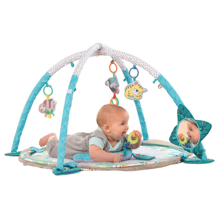 Infantino 4-in-1 Jumbo Activity Gym and Ball Pit (LOCAL PICKUP ONLY)