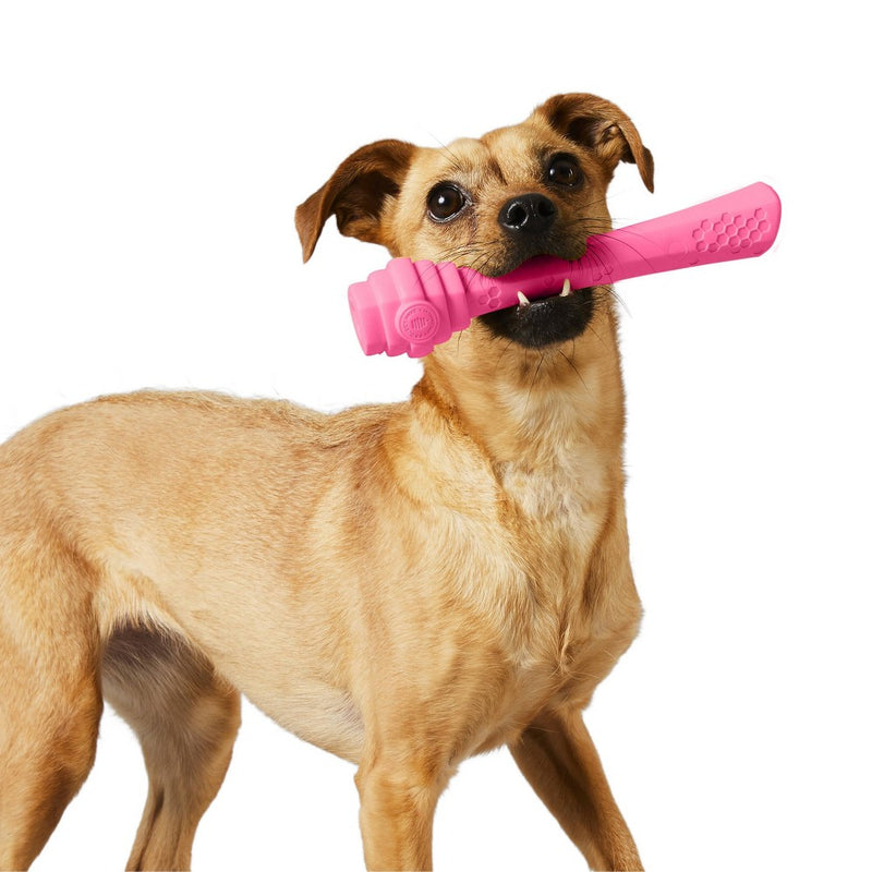 Project Hive Pet Company Wild Berry Fetch Stick Interactive Dog Toy - Pink