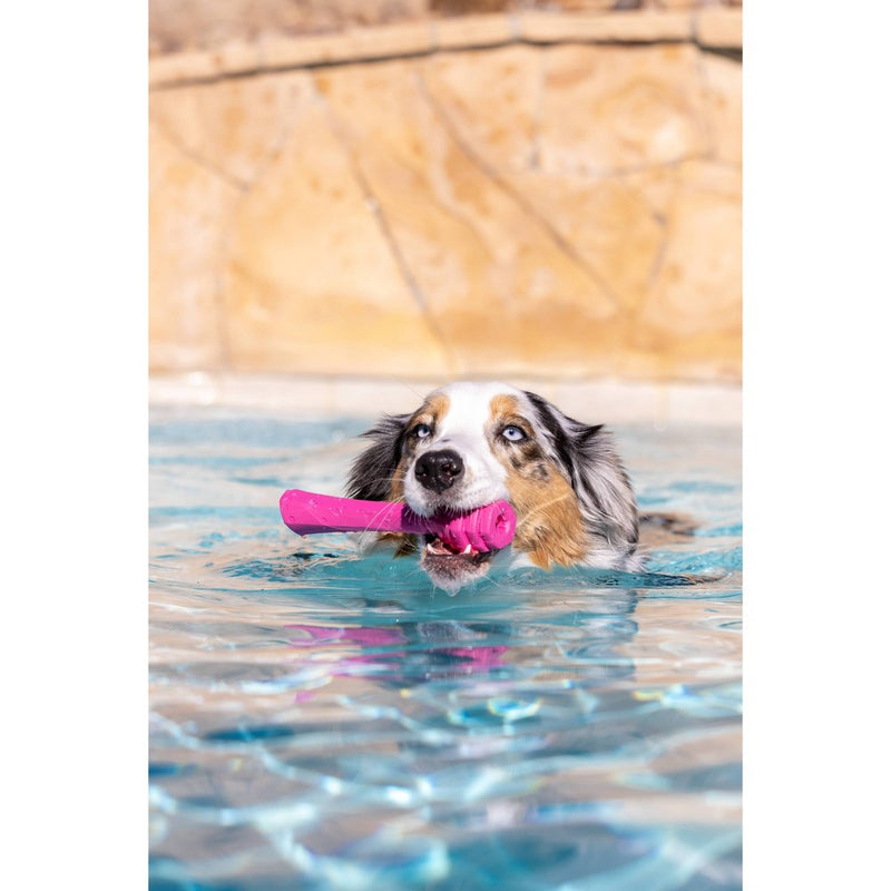 Project Hive Pet Company Wild Berry Fetch Stick Interactive Dog Toy - Pink