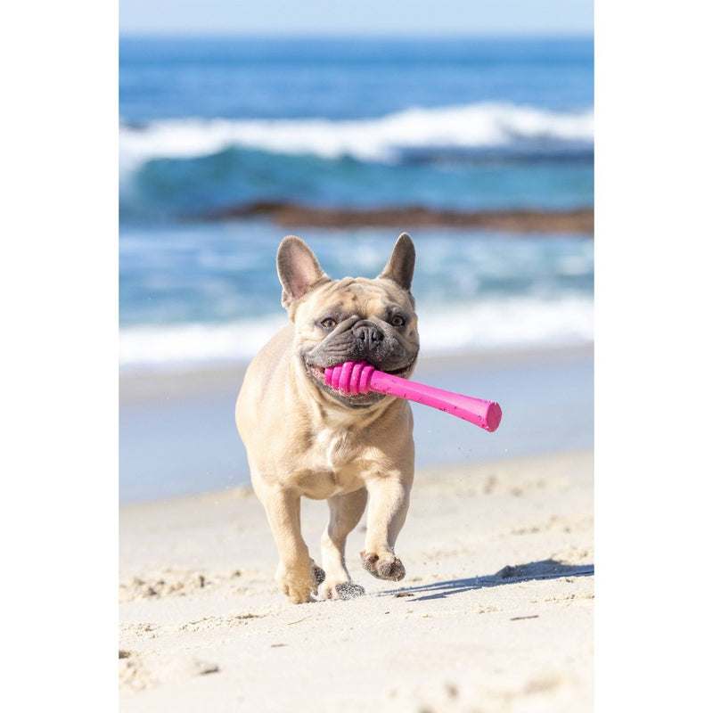 Project Hive Pet Company Wild Berry Fetch Stick Interactive Dog Toy - Pink