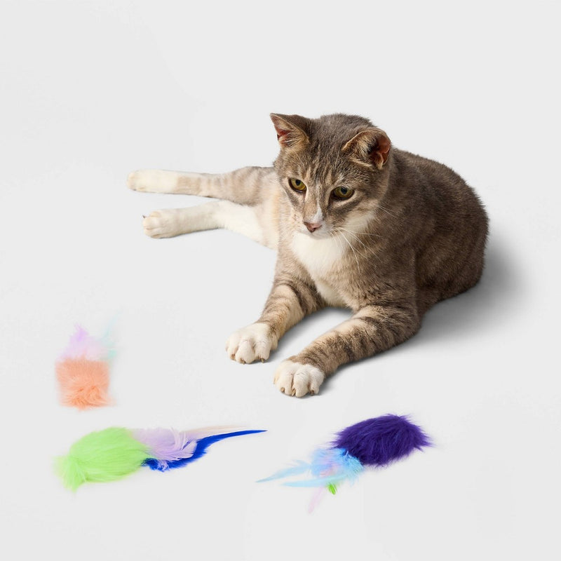 Feather Teaser Cat Toy - 3pk - Boots & Barkley