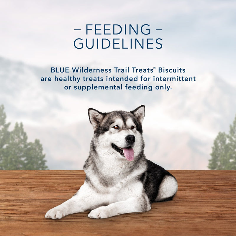Blue Buffalo Wilderness Trail Treats High Protein Grain Free Crunchy Dog Treats Biscuits with Turkey Recipe - 10oz