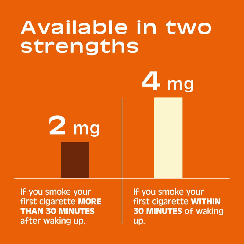 Nicorette 2mg Stop Smoking Aid Nicotine Gum - Fruit Chill - 160ct EXP 03/2027