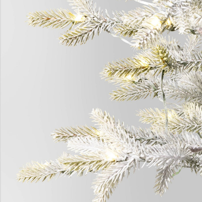 5' Pre-lit Flocked Balsam Fir Artificial Christmas Tree with Basket Base Warm White LED Lights - Wondershop (LOCAL PICKUP ONLY)
