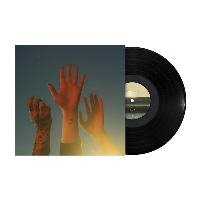 boygenius - the record (Vinyl)