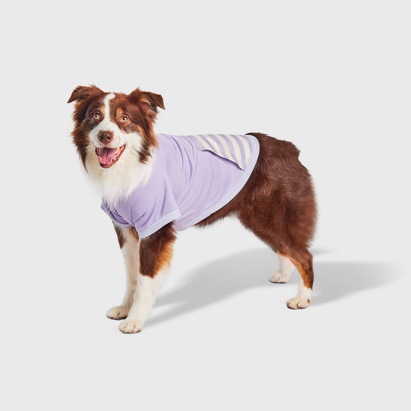 Lightweight Funnel Neck with Stripe Pocket Dog Sweatshirt - Boots & Barkley Purple XL