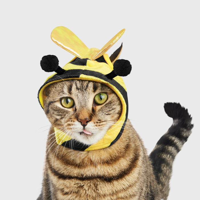 Halloween Bee Cat Costume - Hyde & EEK! Boutique One Size Fits Most