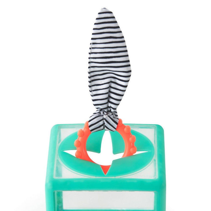 Sassy Toys Rainbow Ring Drop Stacking Toy