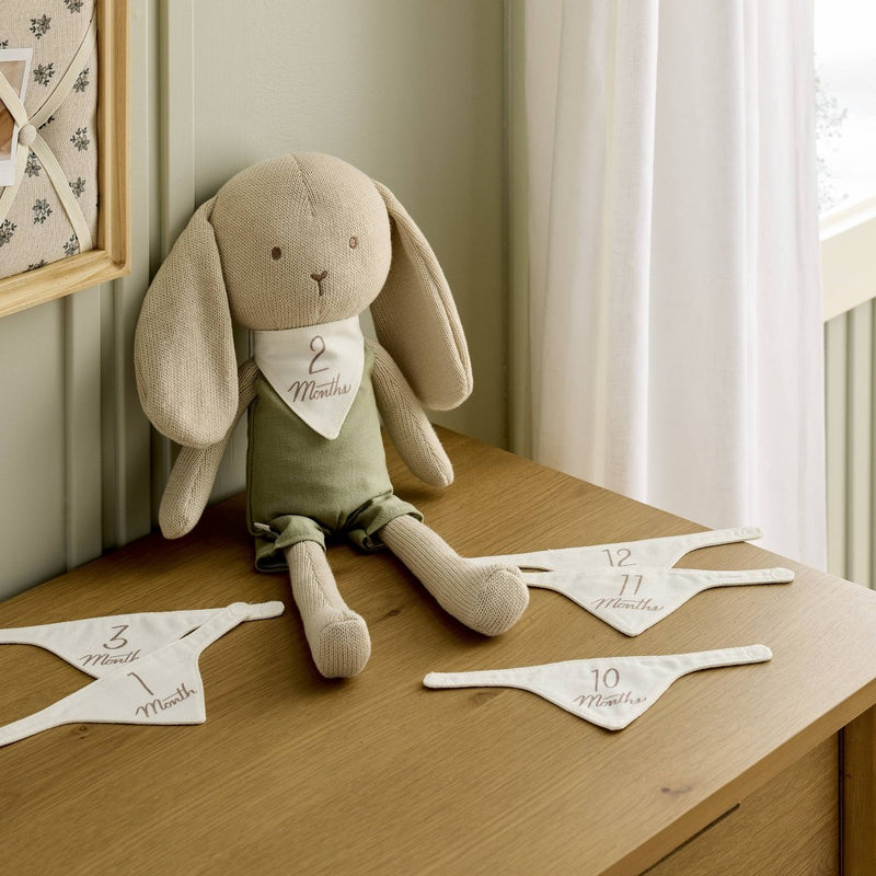 Newborn Milestone Knit Bunny 7pc - Hearth & Hand with Magnolia