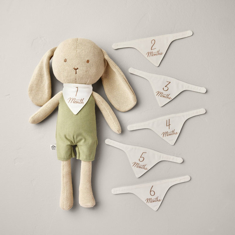 Newborn Milestone Knit Bunny 7pc - Hearth & Hand with Magnolia
