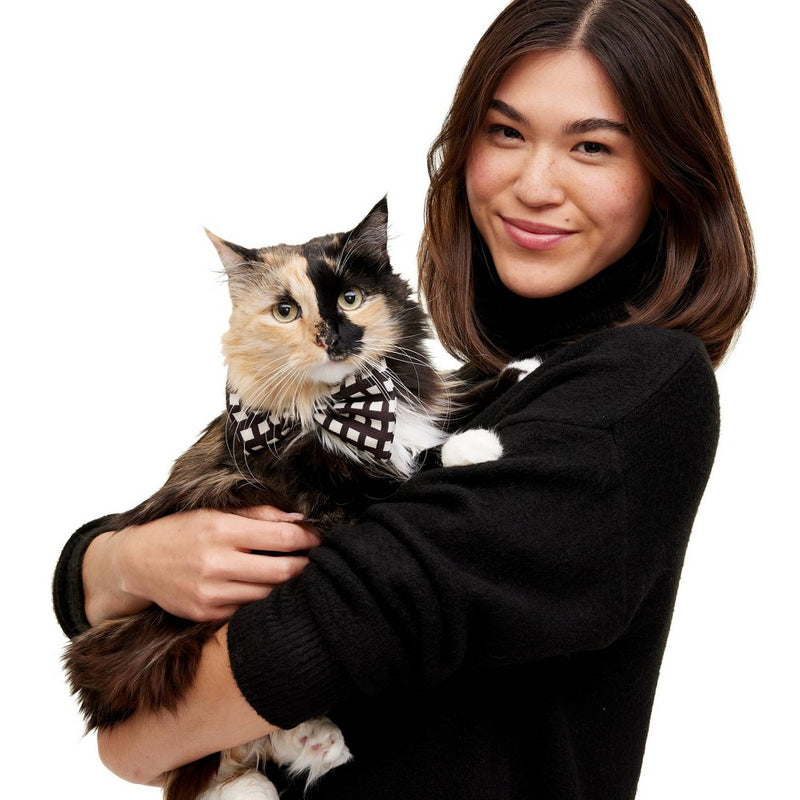 Dog and Cat Bowtie Set - Squares/Blue Twill - The Cuddle Collab with Zelda, Titus & Brave