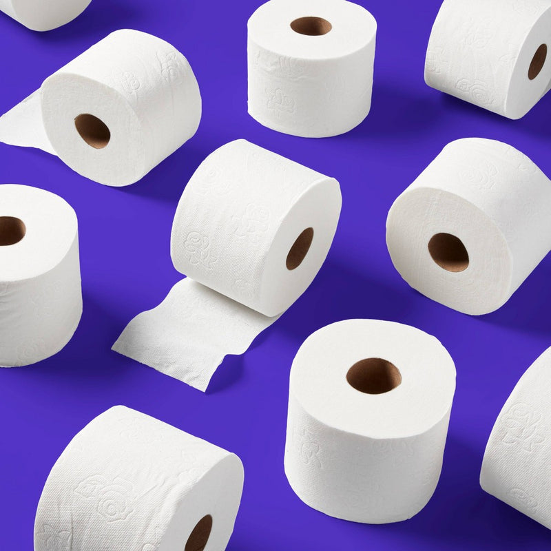 Premium Ultra Soft Toilet Paper - 30 Rolls - up&up