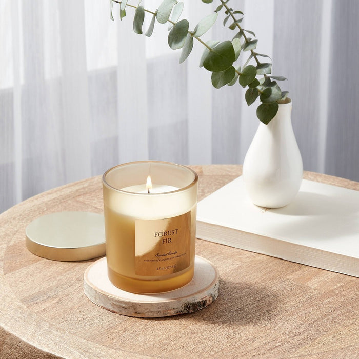 4.5oz Glass Forest Fir Candle Gold - Threshold