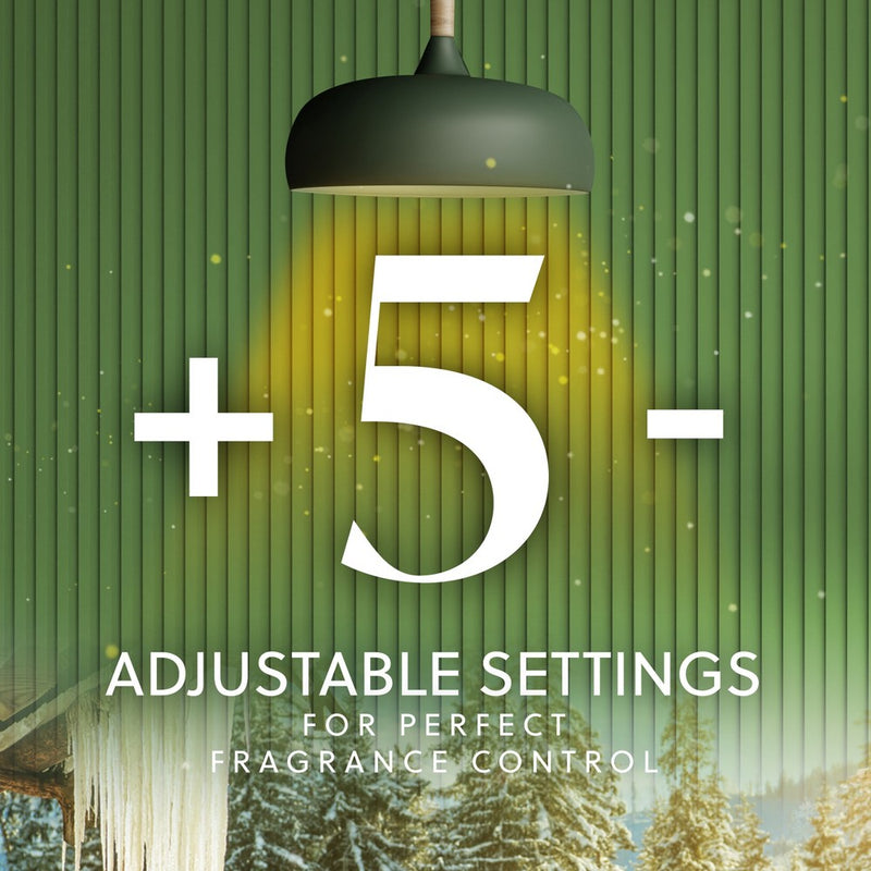 Air Wick Vibrant Scented Oil Air Freshener Refills - Winter Woods & Frosted Ivy - 3.38 fl oz/5pk