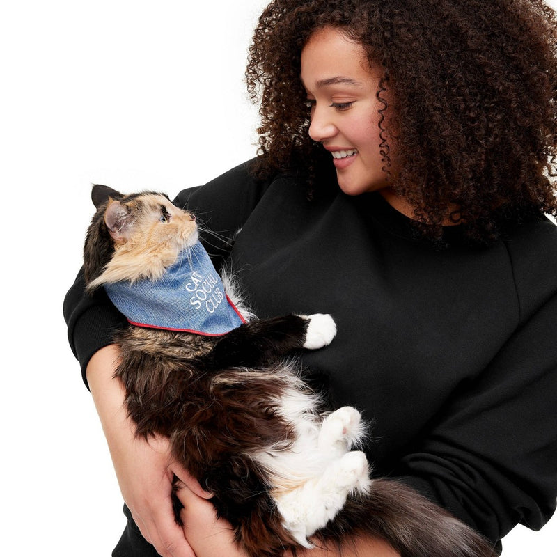 "Cat Social Club" Blue Twill Cat Bandana - The Cuddle Collab with Zelda, Titus & Brave