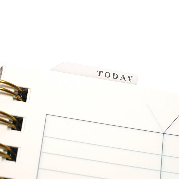 Altitude July 2024 - June 2025 Teacher Planner 8.5"x11" Monthly and Weekly Warm Gray