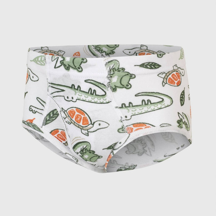 Hanes Toddler Boys' 6pk Organic Cotton Briefs - 4T