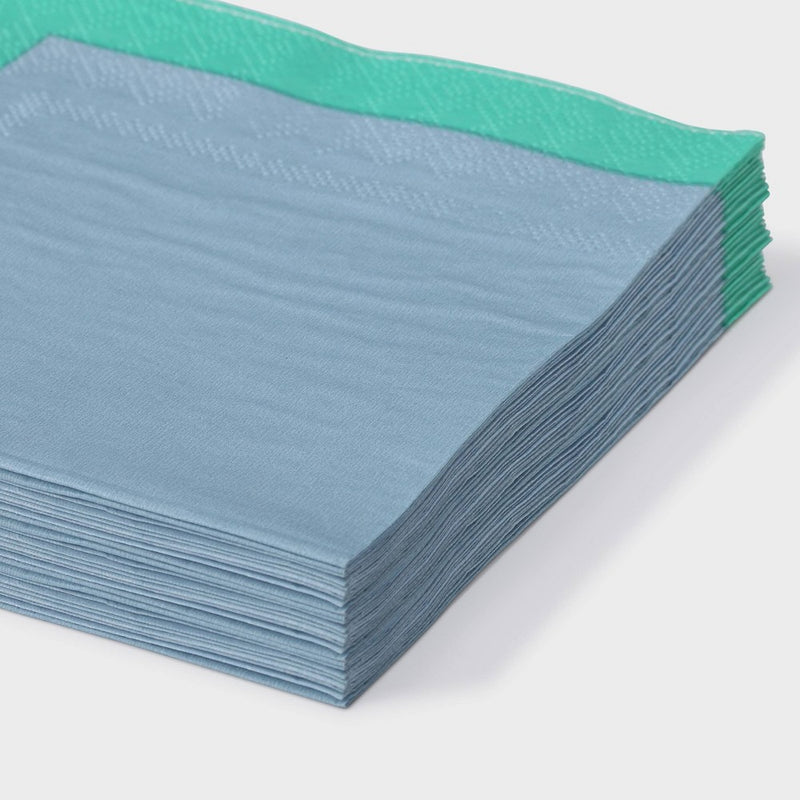16ct Blue and Green Beverage Napkins