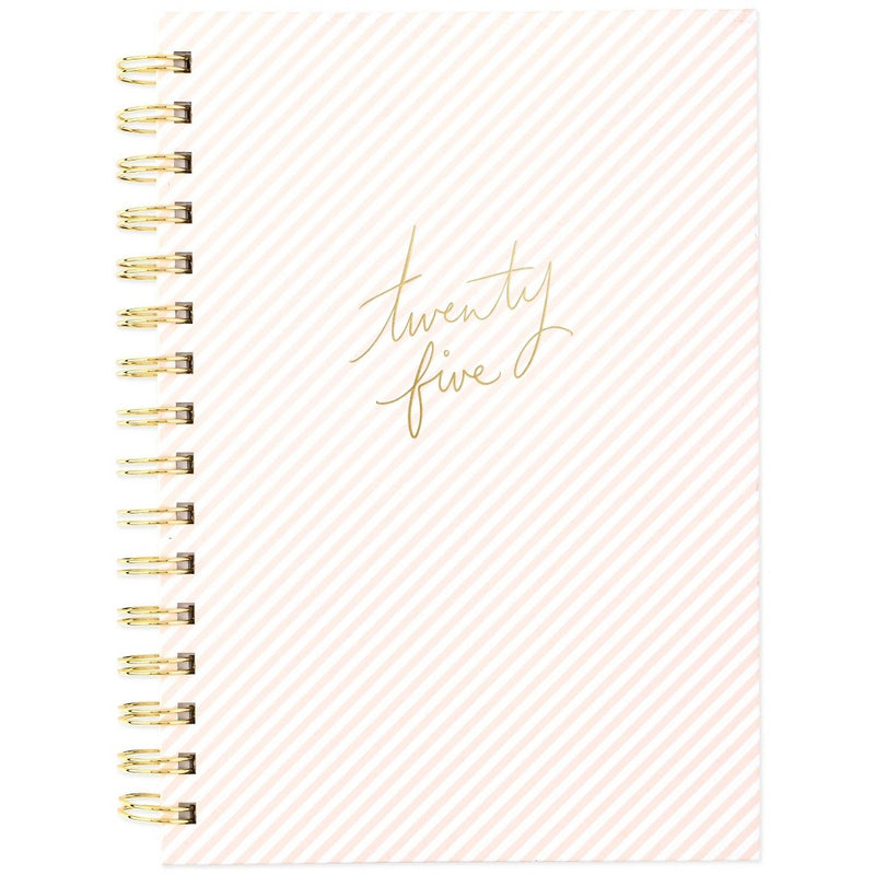Sugar Paper Essentials 2025 Weekly/Monthly Planner 8.5"x6.5" Pink Stripe
